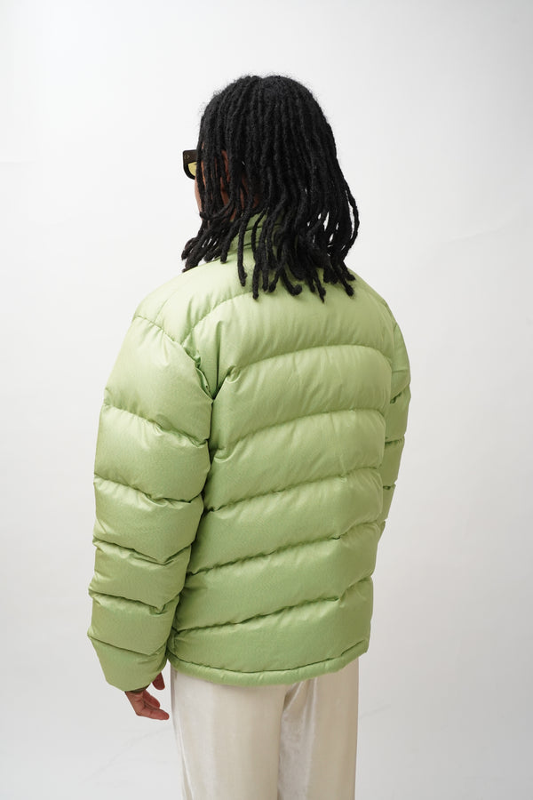 "patagonia" -White Goose Minimum Down-