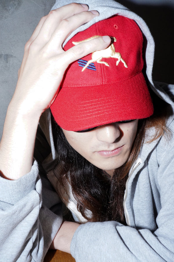 -PEGASUS TRUCKER CAP-