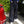 JUNO -WIDE-LEGGED ELASTICATED TROUSERS-[DARK NAVY]