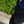 JUNO -WIDE-LEGGED ELASTICATED TROUSERS-[DARK NAVY]