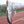 ASICS -GEL-KAYANO 14-