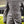 CCGA14UNI B