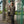 CCCS06UNI A