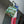 -Down Bag-