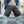 KHOKI -Leather Baggy Shorts-