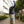 BLESS -Padded Skirt-