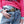 Dechamps - Champion Belt -