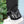 -Trimmed Pants-