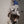 [Mars EDITION] -GIANT SQUID-