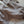 [Mars EDITION] -GIANT SQUID-